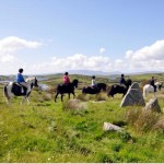 Carrowholly Stables & Trekking Centre