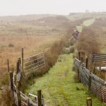 Derrigimlagh Bog