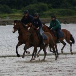 Clew Bay Horseriding