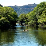 Killarney National Park