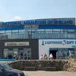 Galway Atlantaquaria National Aquarium of Ireland