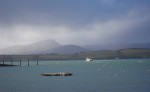 Whiddy Island Ferry